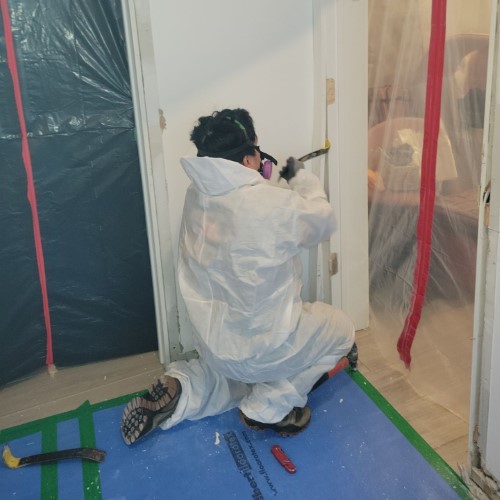 mold free estimate belmar nj